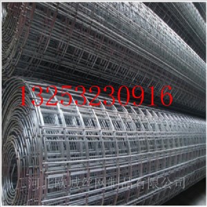 �S���N���F�z����늺��W������늺��W�����؉�늺��W