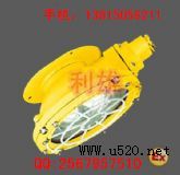 BCW6219 防爆吸頂燈(圖)