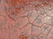 �����_���������ģ��ƺ��ģ���������u