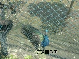 ���ҿ����ϴ��ȸ�Bֳ�����{��ȸ��������