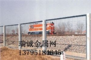 ���B�_�l�^���S���x�ř�