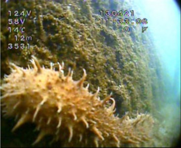 ����ˮ���B(y��ng)ֳˮ�z���^��(li��n)�W(w��ng)�W(w��ng)��O(ji��n)����