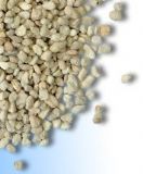 �����ձ�������(�D)