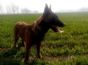 ���꼃�N�RȮ�����Xһֻ���RȮ�Bֳ��