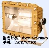 SBD3109 ��S�o���ܷ��������(�D)