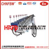 石化企業(yè)防防爆巡檢電動自行車