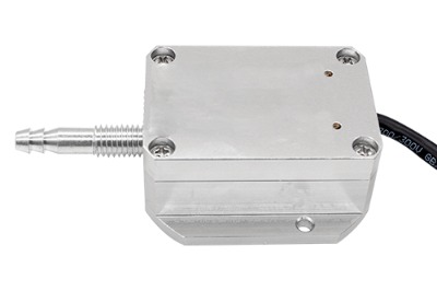 �Y���o�������p������