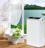 ˹����ؓ�x�ӿ՚��������ȥ�҃ȼ�ȩ