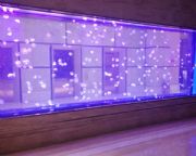 �������a���N�����~�׺��r��