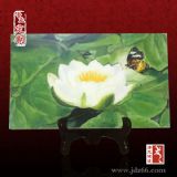 ����悾Ƶ��bɰ宋���ƣ��ɰ宋�DƬ