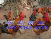 ���_���u��r��