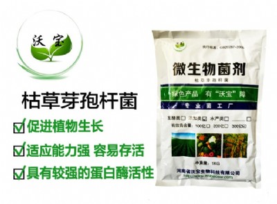 �֌�����ݲ�ѿ�ߗU��