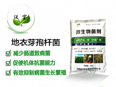 �֌��������ѿ�ߗU��