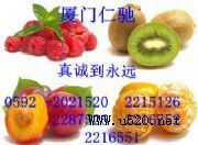 �t���t�S���Ԓ �t���tʹ���f��(�D)