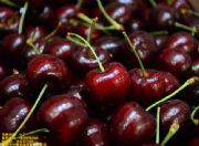 �Y�܇��������ݣ��Y�܇�������޼����Y�܇������a��