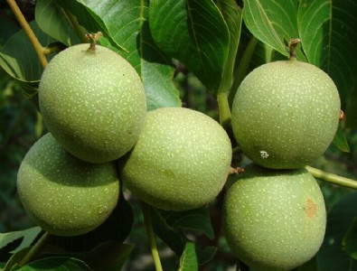 ����������r�񣬱�����������أ�����������Ʒ�N