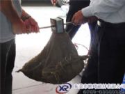 �����ƴ��F