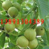 ������һ�����Ƥ���Үa��