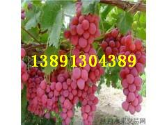 ����������Ѯa�ؼt�����ѻ���