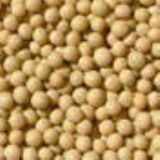 С���S�����ڶ��N��