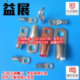 優質線鼻子批發,JG16-8mm鍍錫管壓銅鼻子,線鼻子廠家