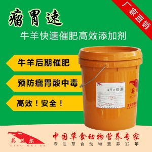 ����/Ӣ����/��θ��Ī�ܾ���/��ţ���������������ӄ�