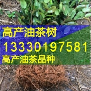 �Ĵ����e�޽��Ͳ���,��h,���B,�d��,��ɽ�߮a�Ͳ�������l�r