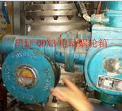 qdx3-5���y΁݆��-��܎�̓r�����y�T���әC��(g��u)