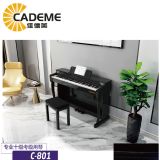 Ȫ�ݼѵ�������88�I���N�I�Pc-801