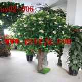 �Ƶ��������𻨘� ���ͷ���𻨘�